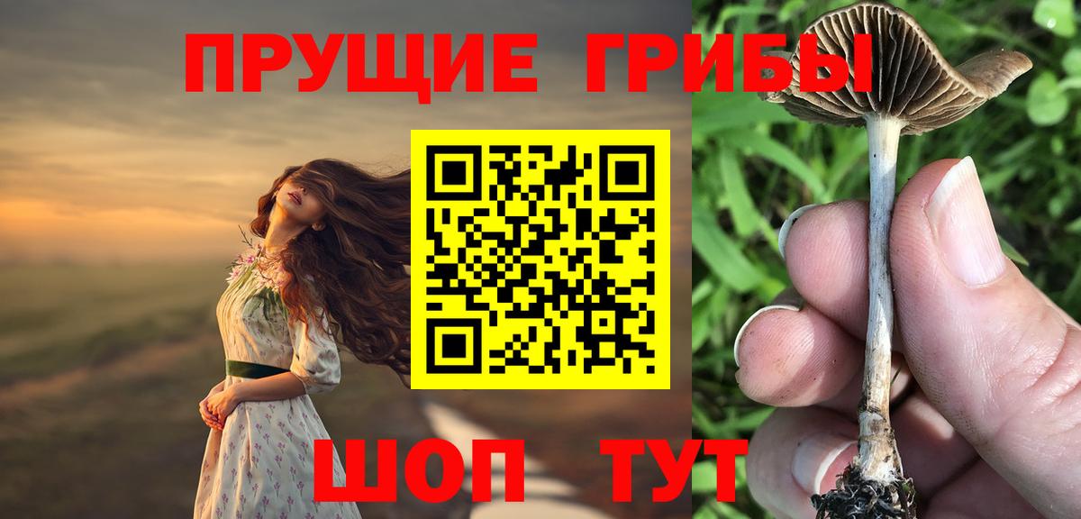 Галлюциногенные грибы мухоморы Выборг