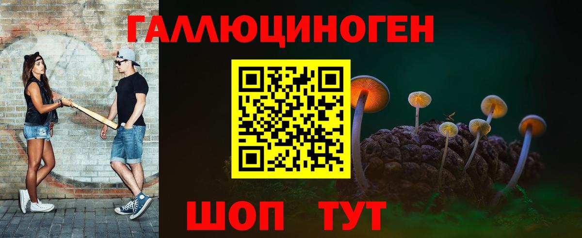 Выборг  Псилоцибиновые грибы мицелий  Вход с VPN 